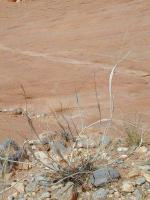 DSCN5329.JPG