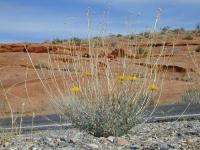 DSCN5331.JPG