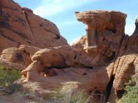 DSCN5356.JPG