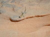 DSCN5362.JPG