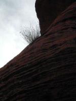 DSCN5365.JPG