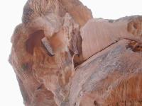 DSCN5366.JPG