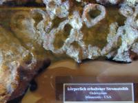 DSCN4869.JPG