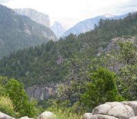 IMG_4185.JPG