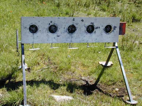 Summer biathlon can use standard winter targets